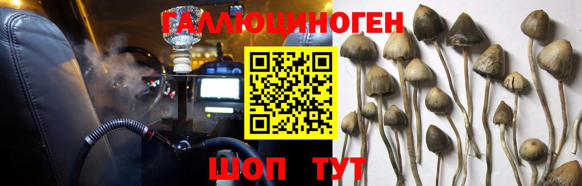 Галлюциногенные грибы мицелий  Вход с VPN  Сыктывкар 